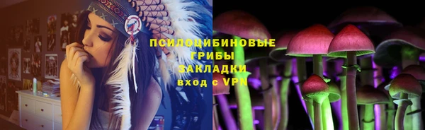 mdpv Арсеньев