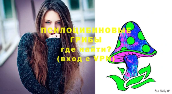 mdpv Арсеньев