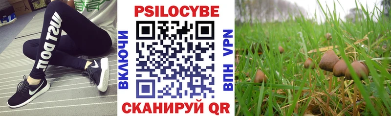 Галлюциногенные грибы мухоморы Чудово